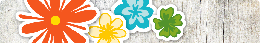 Bestellinformationen - Schmuckbild oben